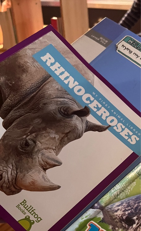 rhinoceroses