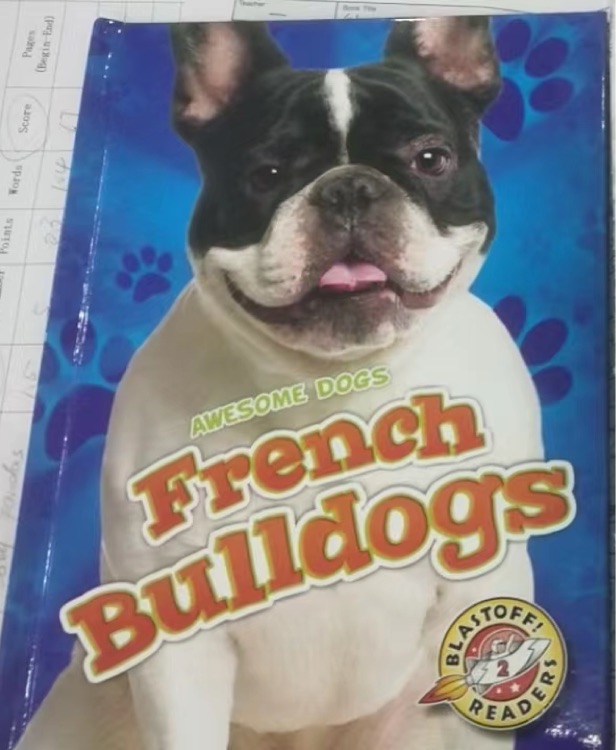 french bulldogs