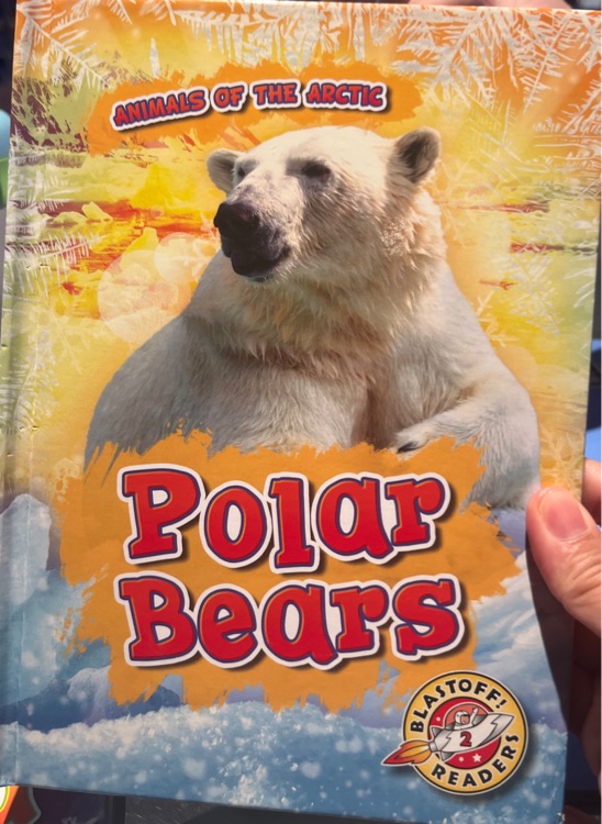 polar bears