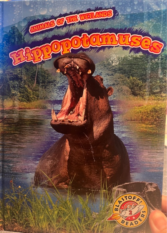 hippopotamuses