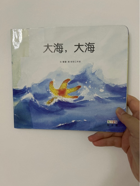 大海, 大海