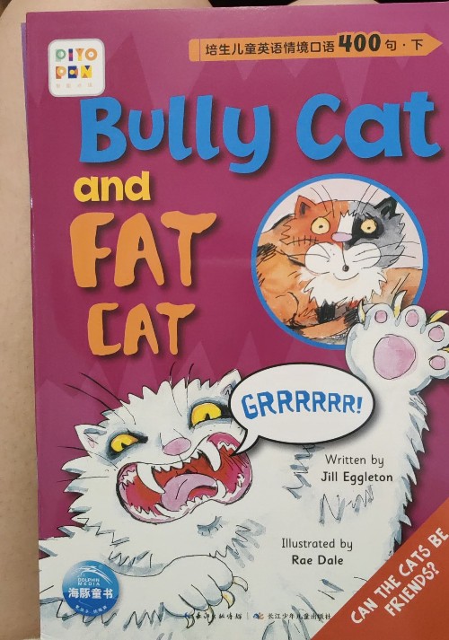 bully cat and fat vat