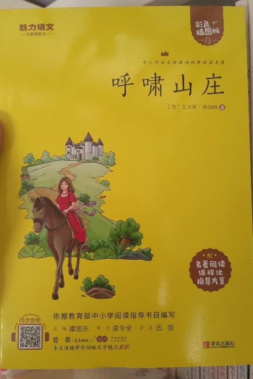 中小學(xué)語文閱讀名著(彩色): 呼嘯山莊