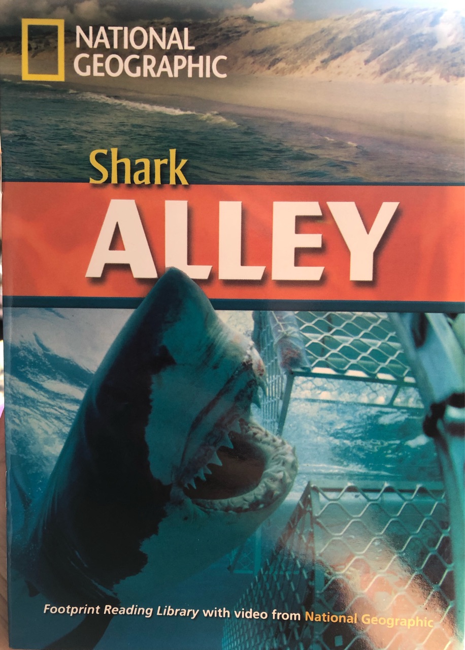 Shark Alley