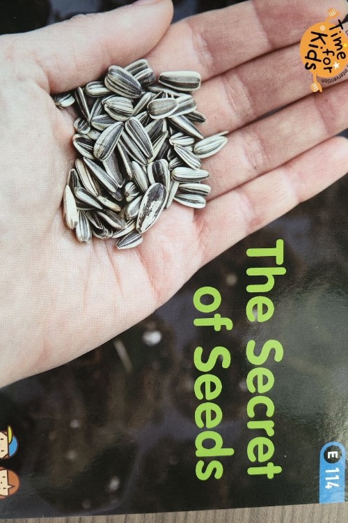 the secret of seeds