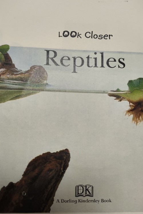 reptiles