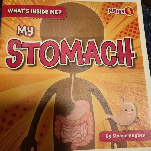 what's inside me?my stomach