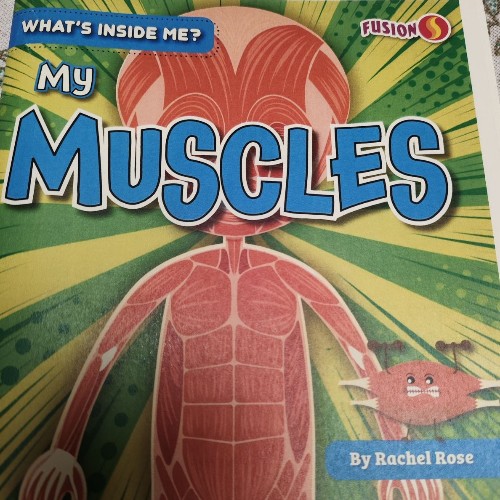 what's inside me?my muscles