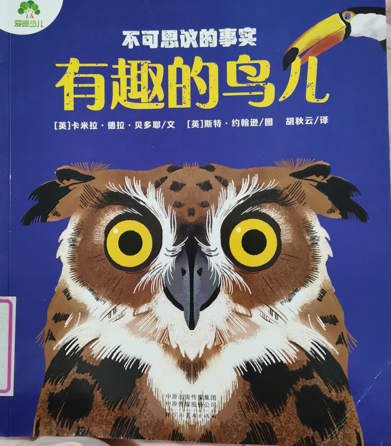 有趣的鳥兒/不可思議的事實