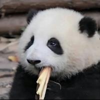 只想發(fā)財(cái)