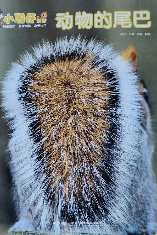 小聰仔科普∶動物的尾巴