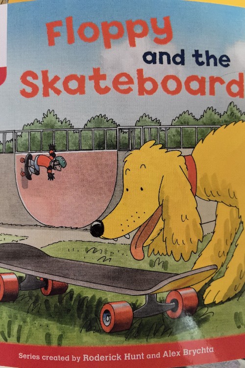 Floopy and the skateboard