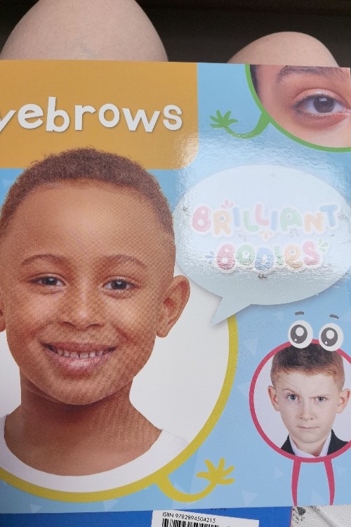 eyebrows