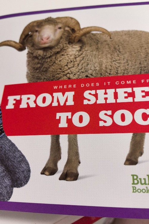 from sheep to sock