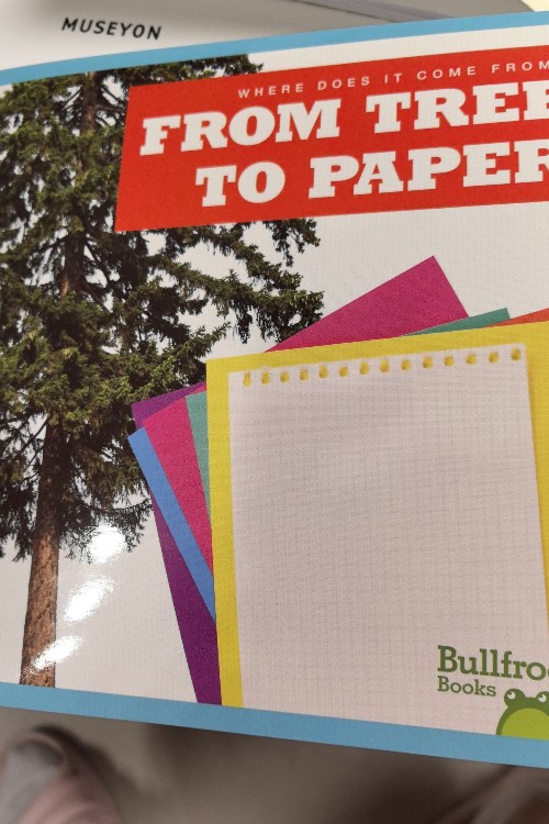 from tree to paper