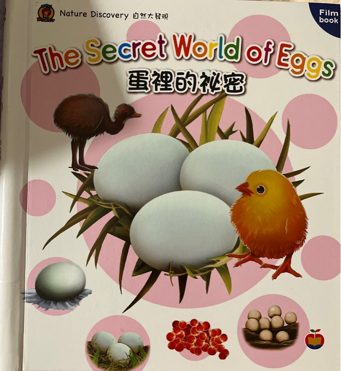 The Secret World of Eggs