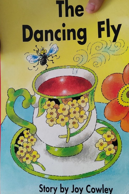 the dancing fly