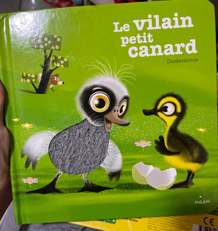 le villain petit canard