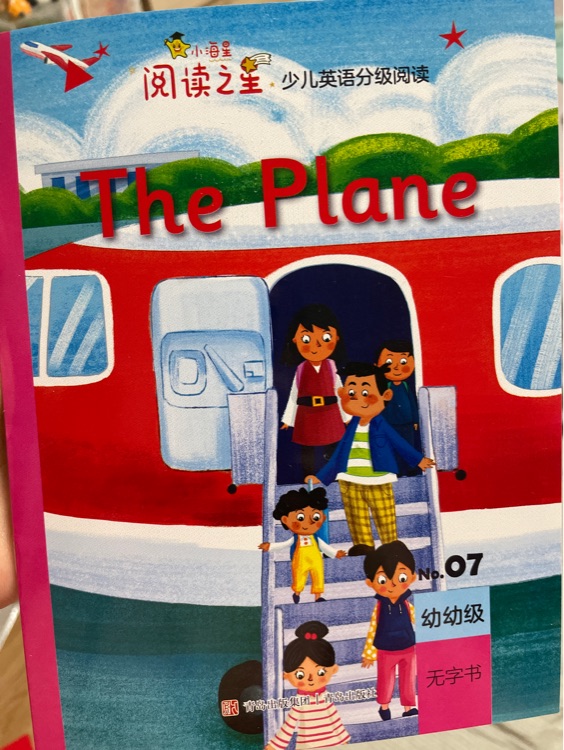 The plane