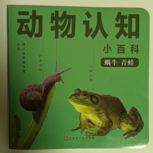 蝸牛 青蛙