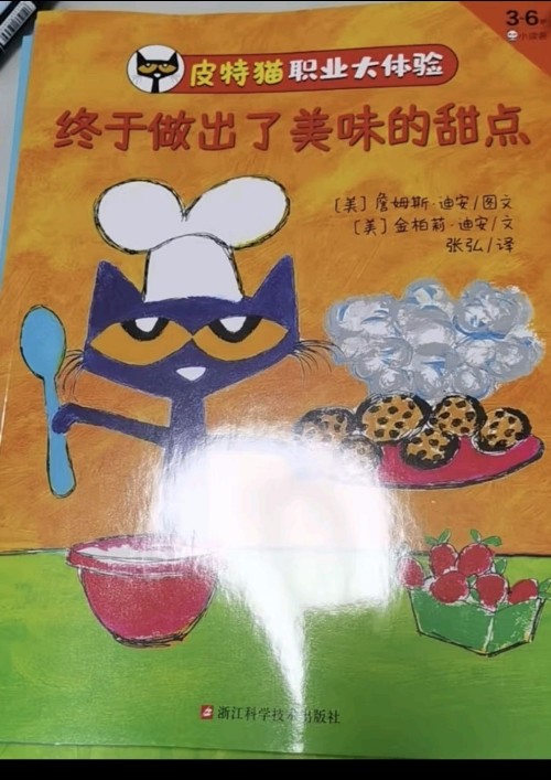 皮特貓職業(yè)大體驗 終于做出了美味的甜點