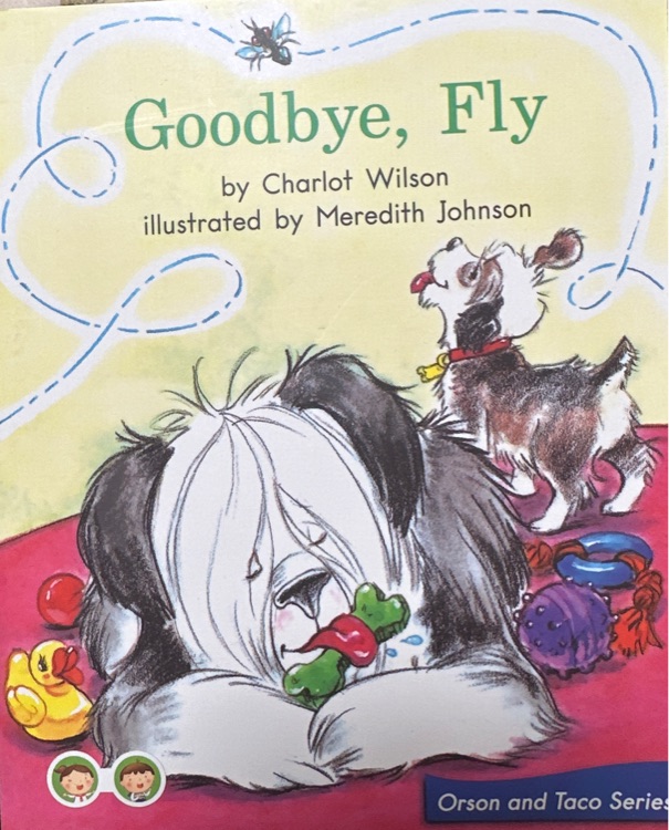 goodbye fly