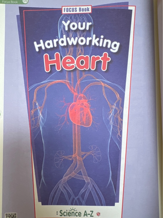 Your Hardworking Heart