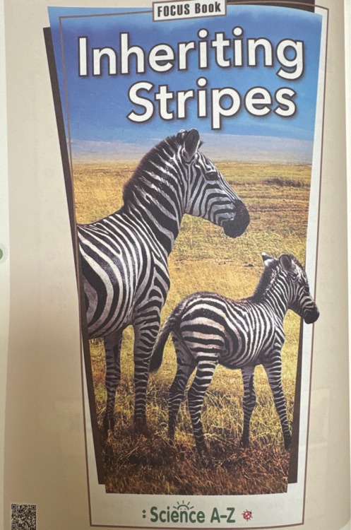 Inheriting Stripes