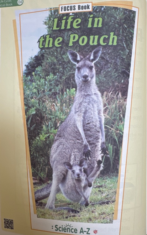 Life in the Pouch