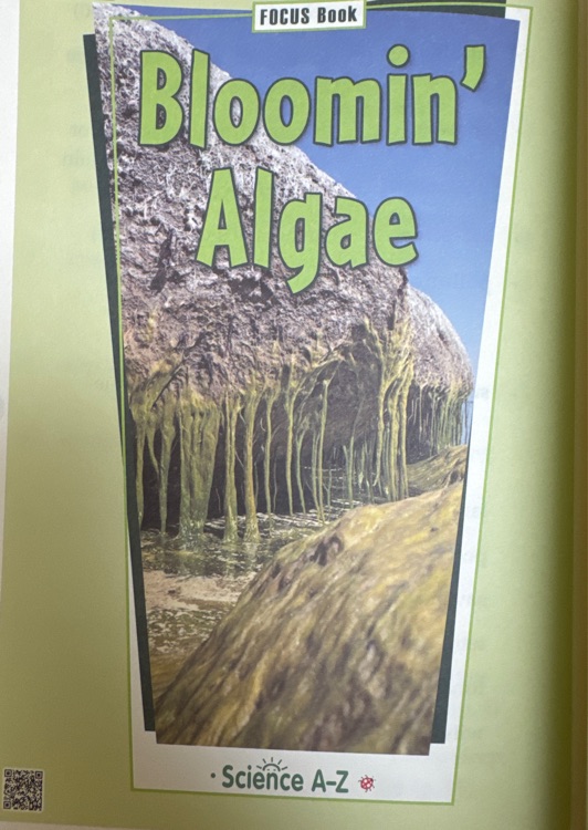 Bloomin's Algae