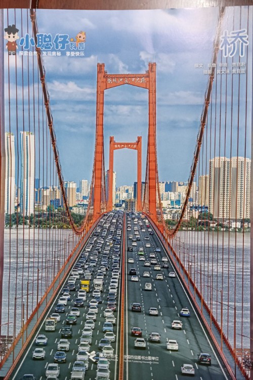 小聰仔科普班2025年5月橋