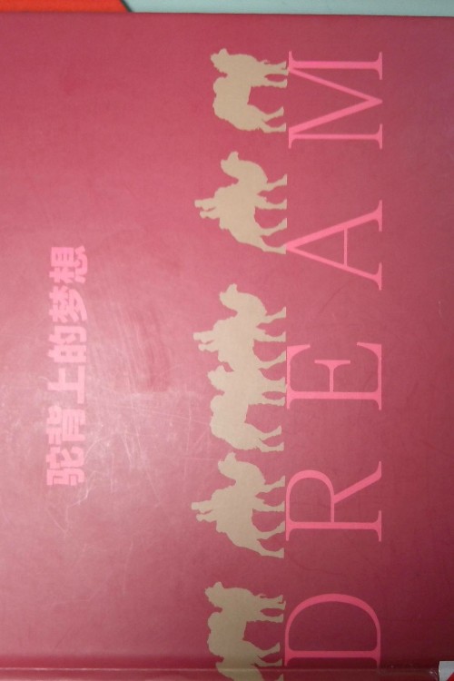 駝背上的夢想