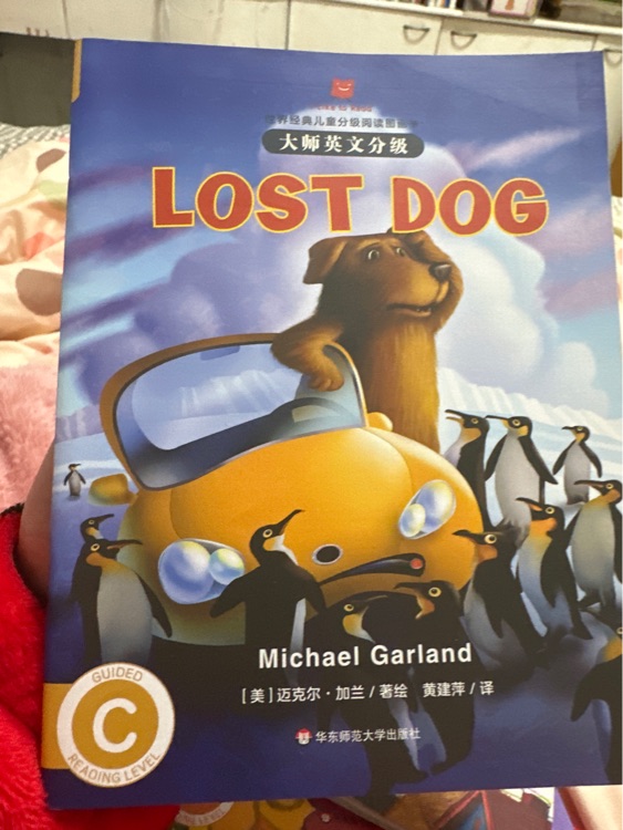 LOST DOG(i like to read)