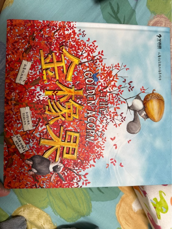 金橡果