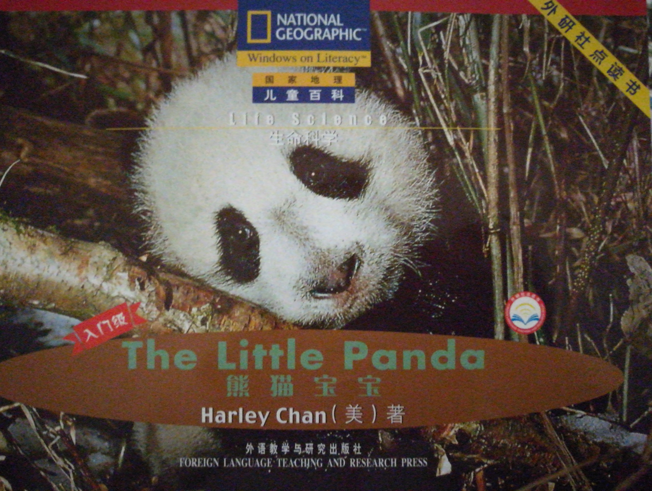 The little panda