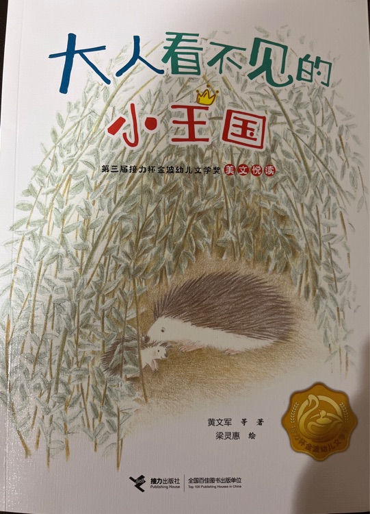 打人看不見(jiàn)的小王國(guó)