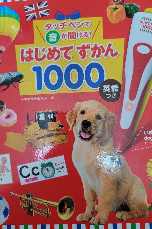 はじめてずかん1000