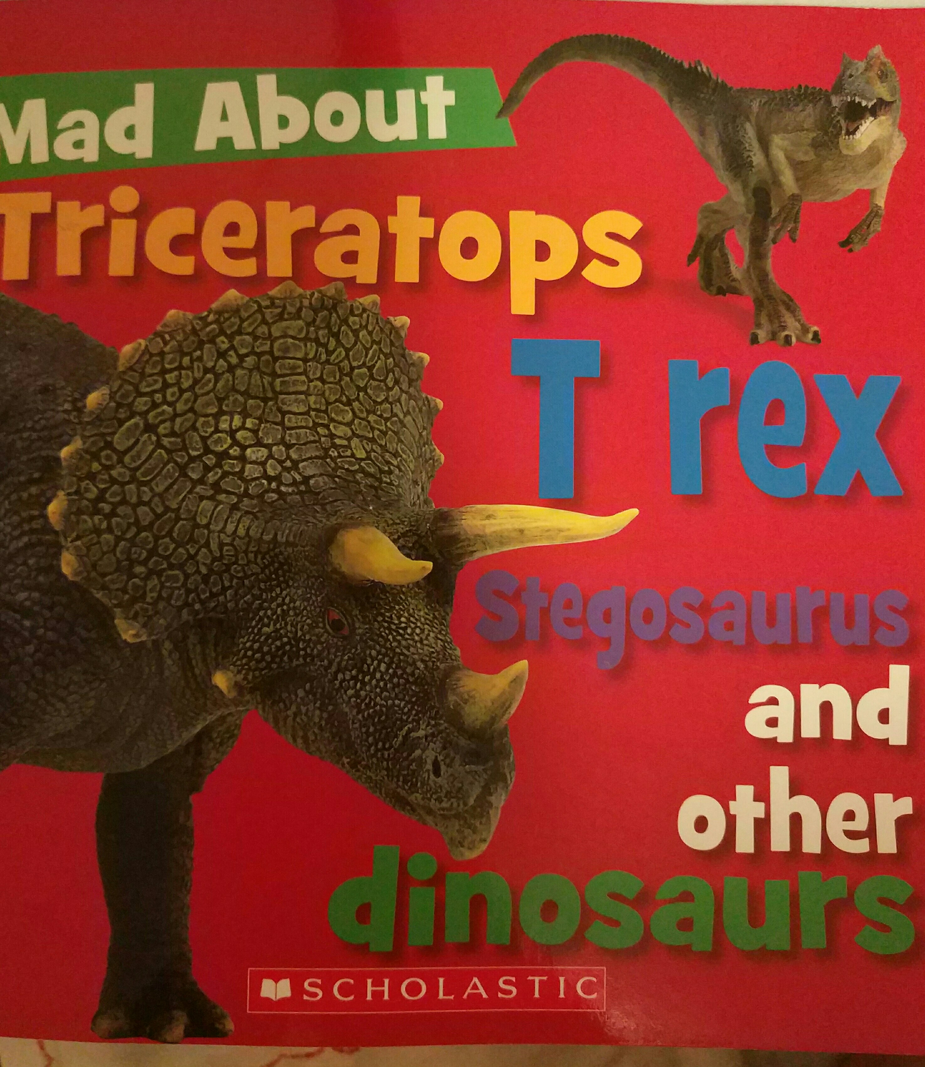 mad about  triceratops T Rex stegosaurus and other dinosaurus