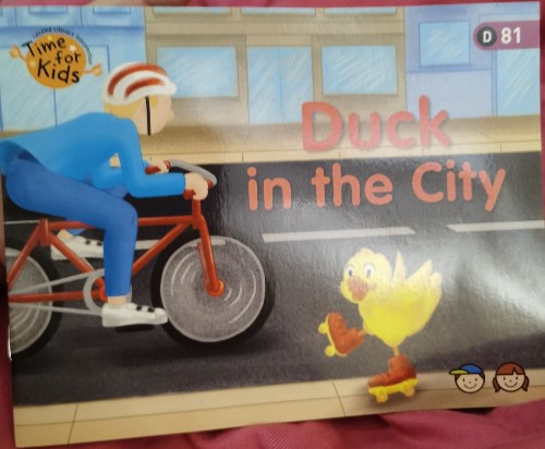 Duck in the city