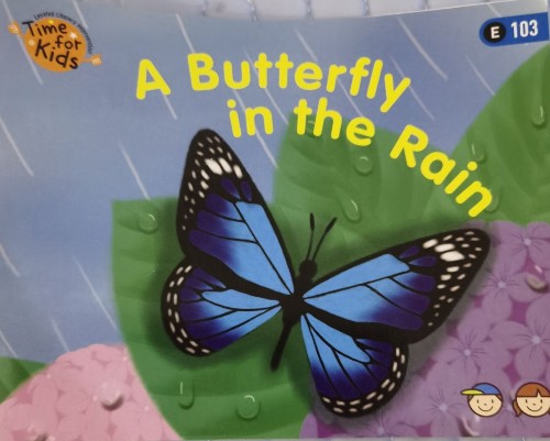 A butterfly in the rain