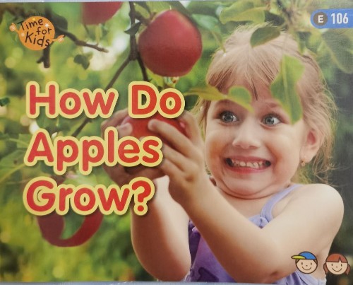 How do apples grow