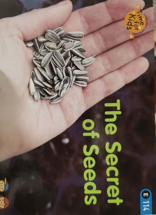 The secret of Seeds