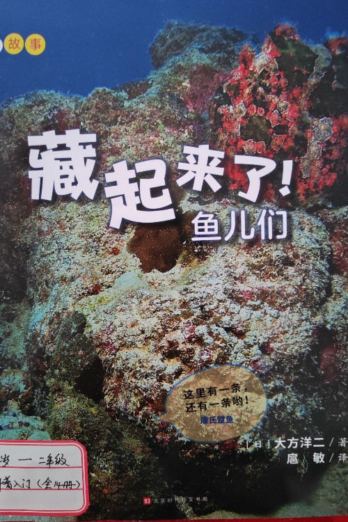 藏起來了魚兒們