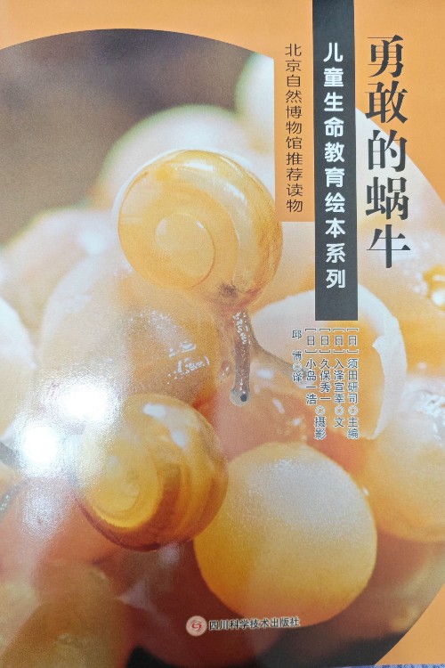 兒童生命教育繪本系列勇敢的蝸牛