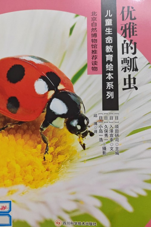 優(yōu)雅的瓢蟲