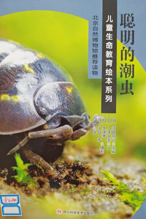 聰明的潮蟲