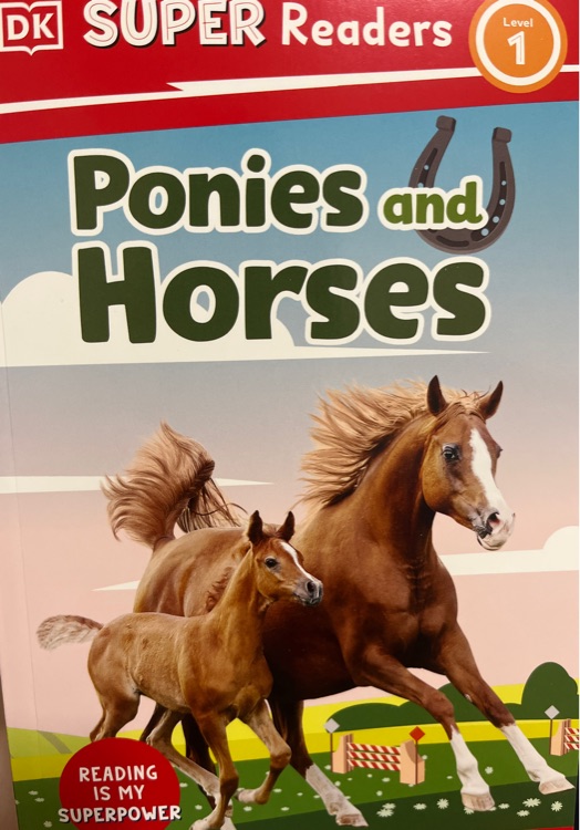 Ponies and horses