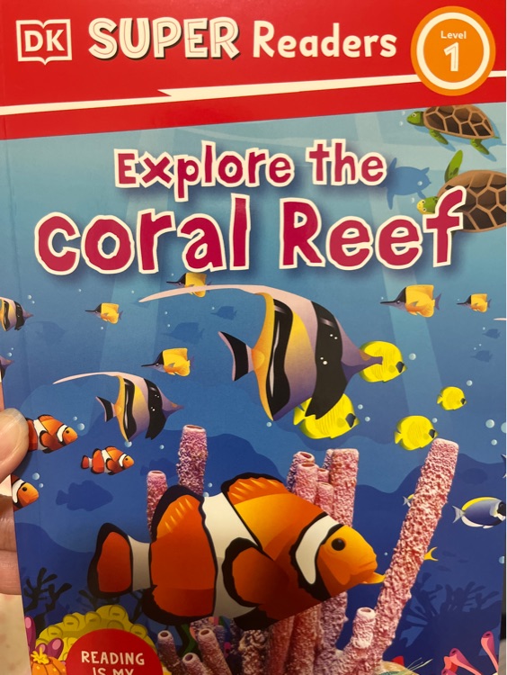 Explore the coral reef