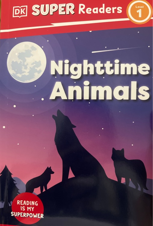 Nighttime animals