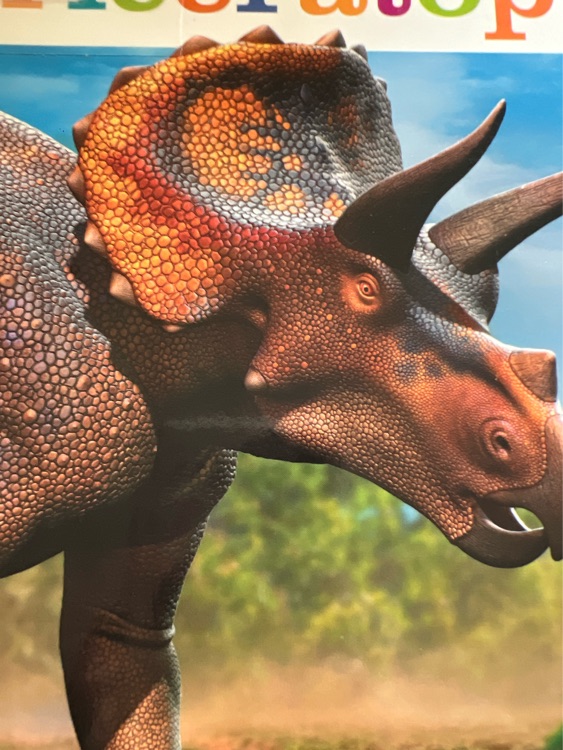 Triceratops